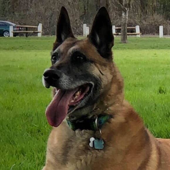 Meet your Posher, Angi - Picture 1 of 1